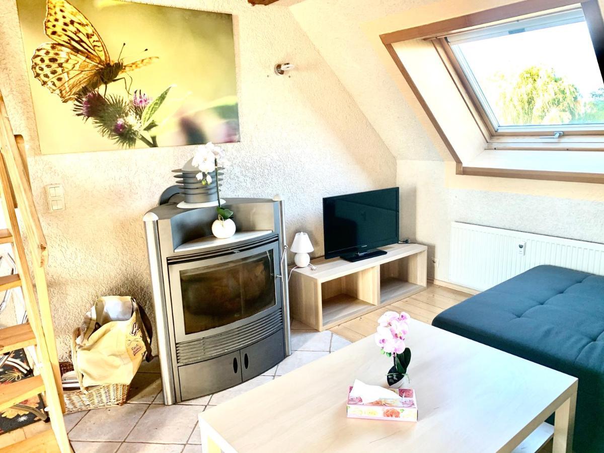 #World Ferienwohnung Шкойдиц Экстерьер фото